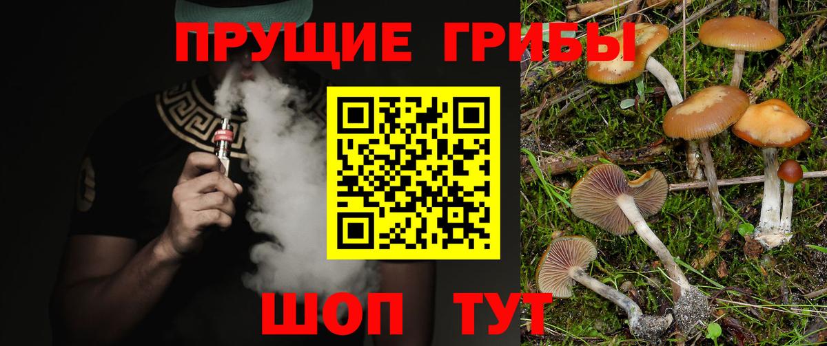 Псилоцибиновые грибы Cubensis  Вход с VPN  Галлюциногенные грибы мухоморы  Владикавказ 
